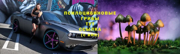 PSILOCYBIN Новокубанск