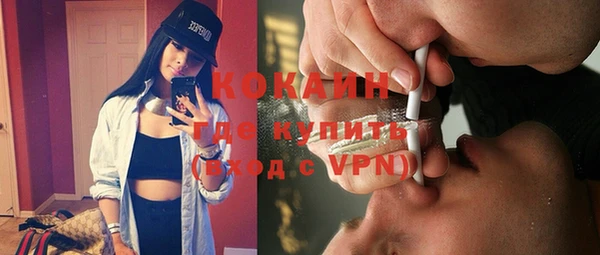 гидра Новодвинск