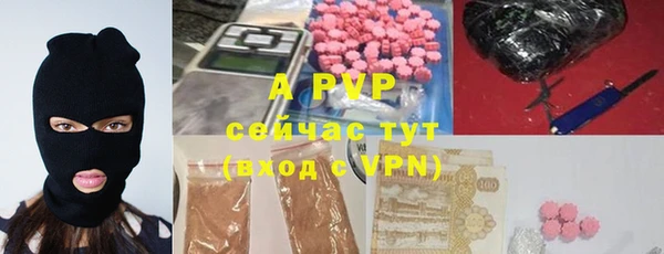 гидра Новодвинск