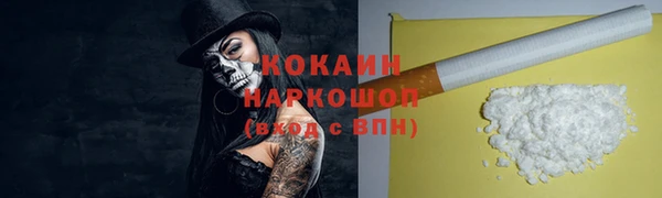 гидра Новодвинск