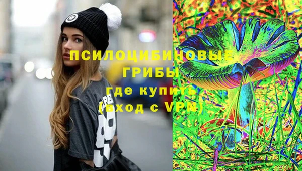 гидра Новодвинск