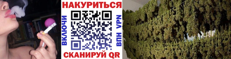 Бошки Шишки Amnesia  Струнино 